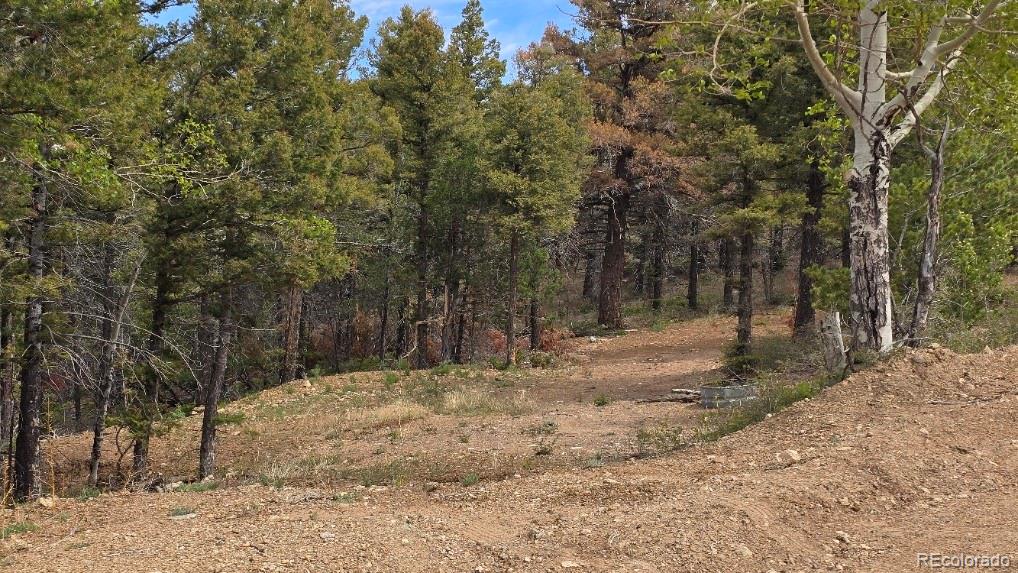 Lot 5825 Covington Road Fort Garland CO 81133