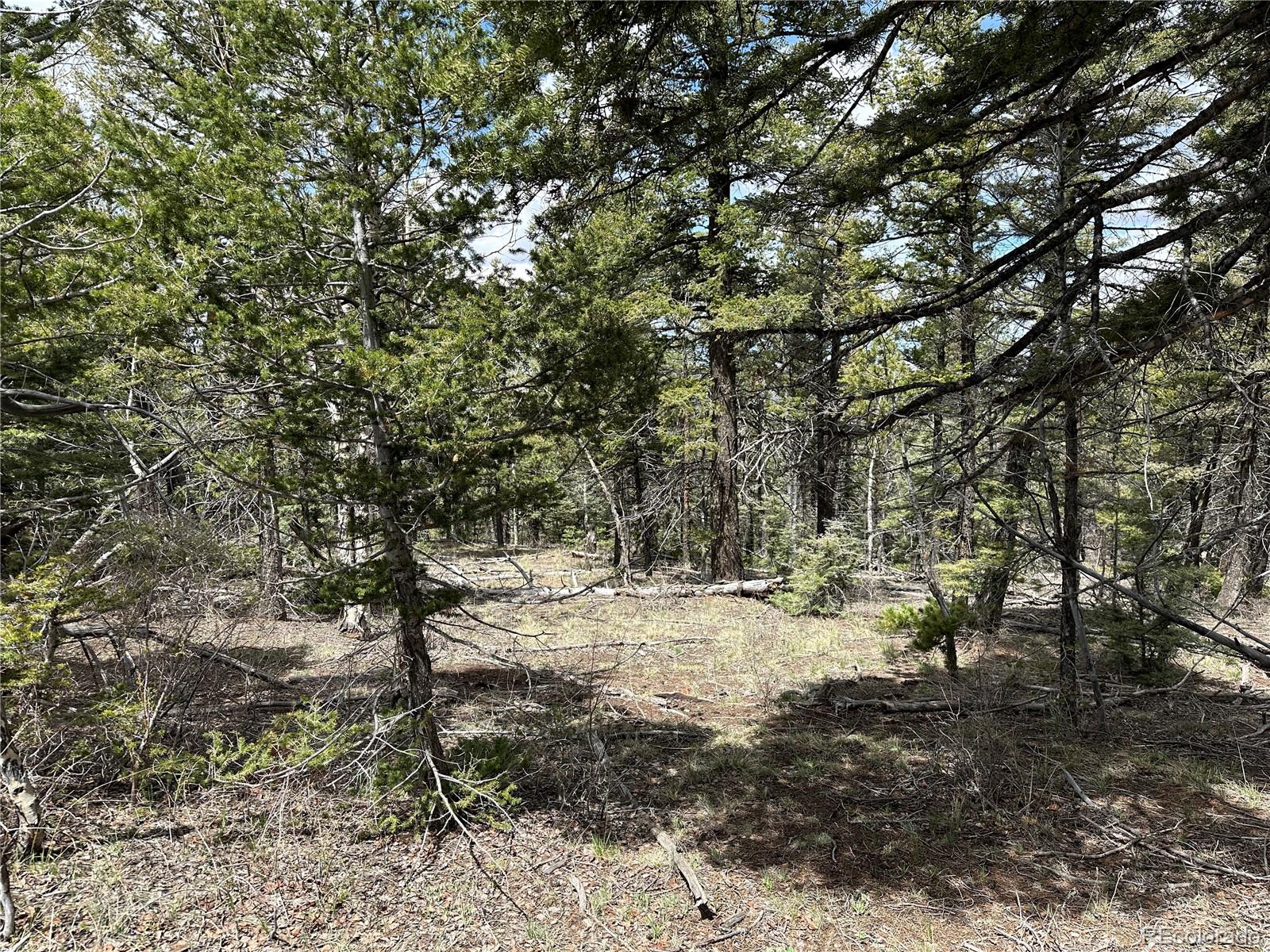 Lot 5825 Covington Road Fort Garland CO 81133