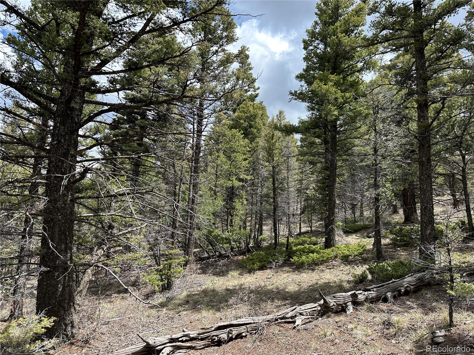 Lot 5825 Covington Road Fort Garland CO 81133