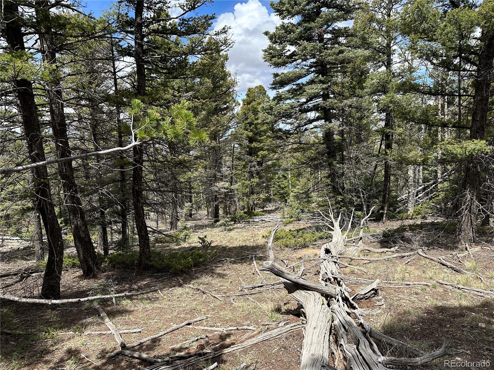 Lot 5825 Covington Road Fort Garland CO 81133