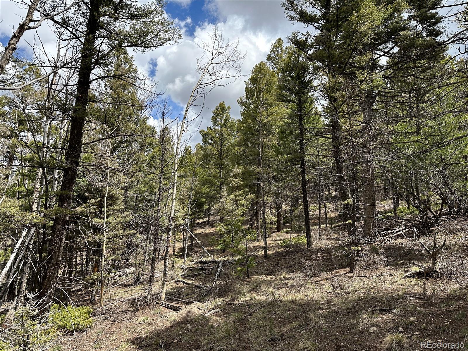 Lot 5825 Covington Road Fort Garland CO 81133