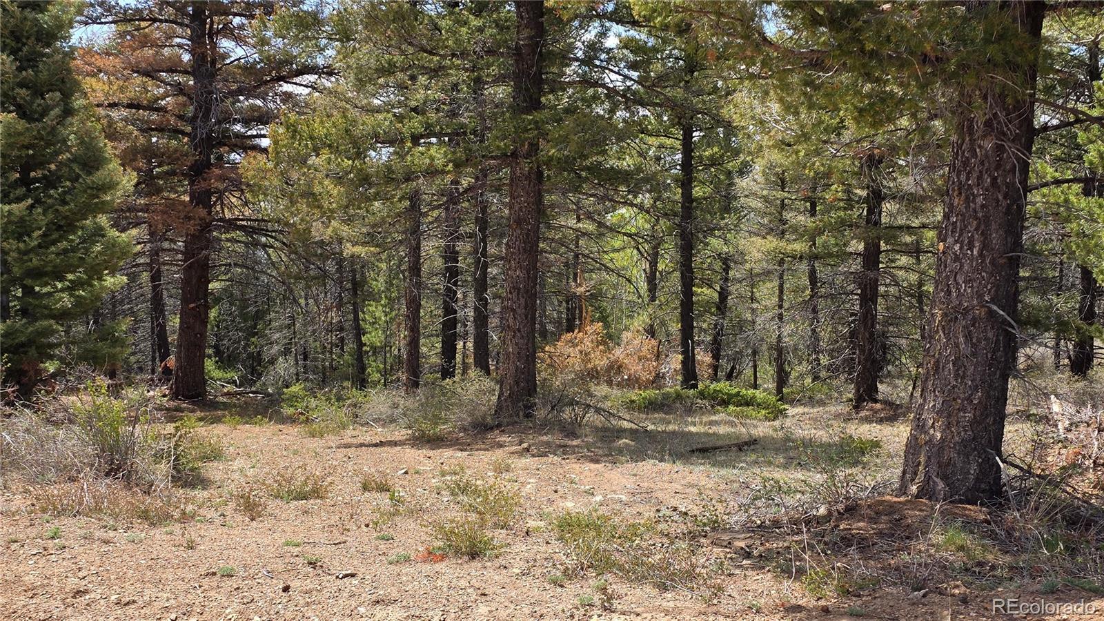Lot 5825 Covington Road Fort Garland CO 81133