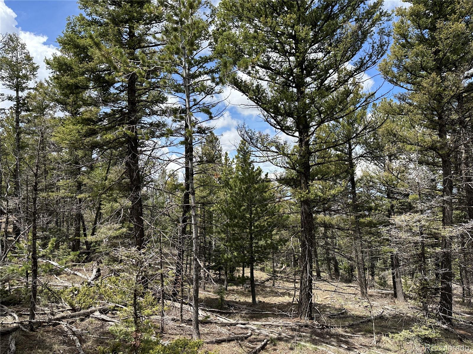 Lot 5825 Covington Road Fort Garland CO 81133