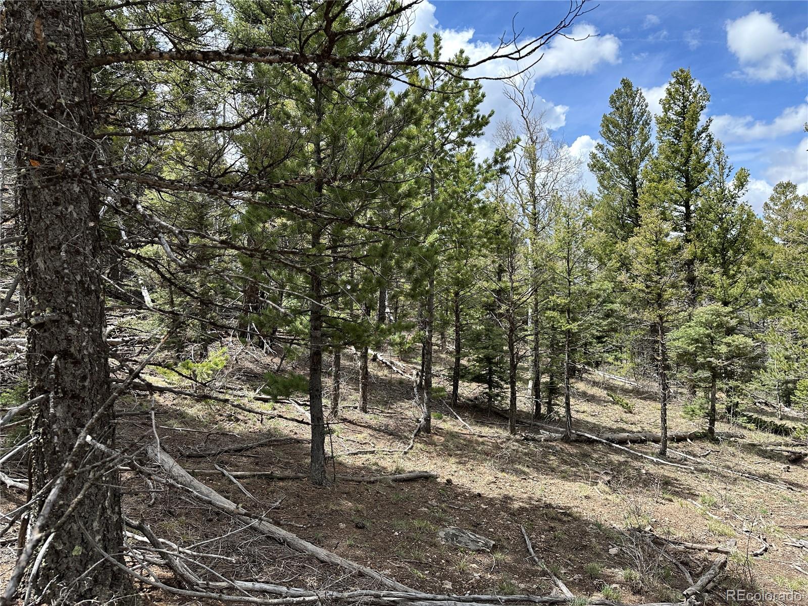 Lot 5825 Covington Road Fort Garland CO 81133