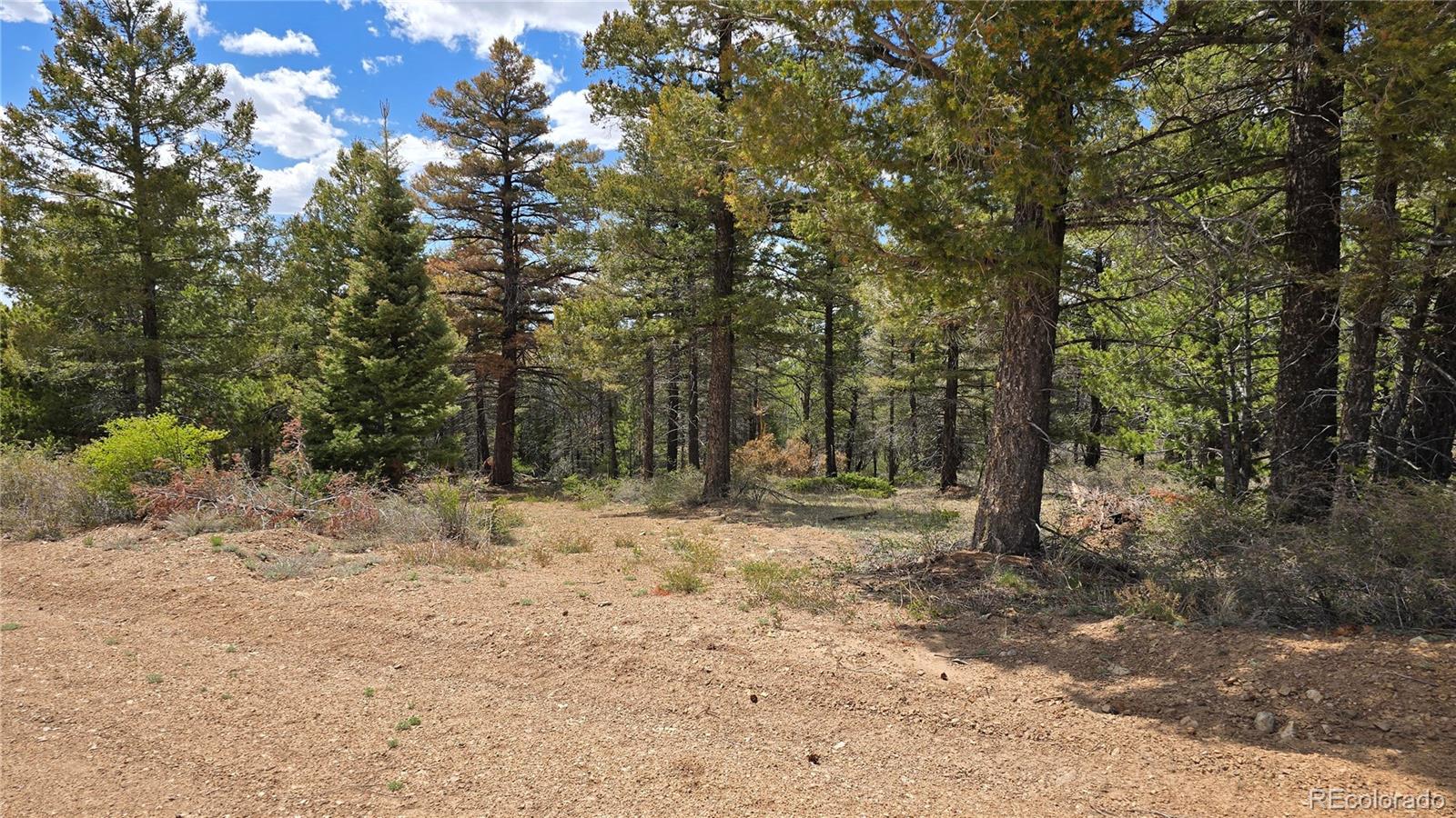 Lot 5825 Covington Road Fort Garland CO 81133