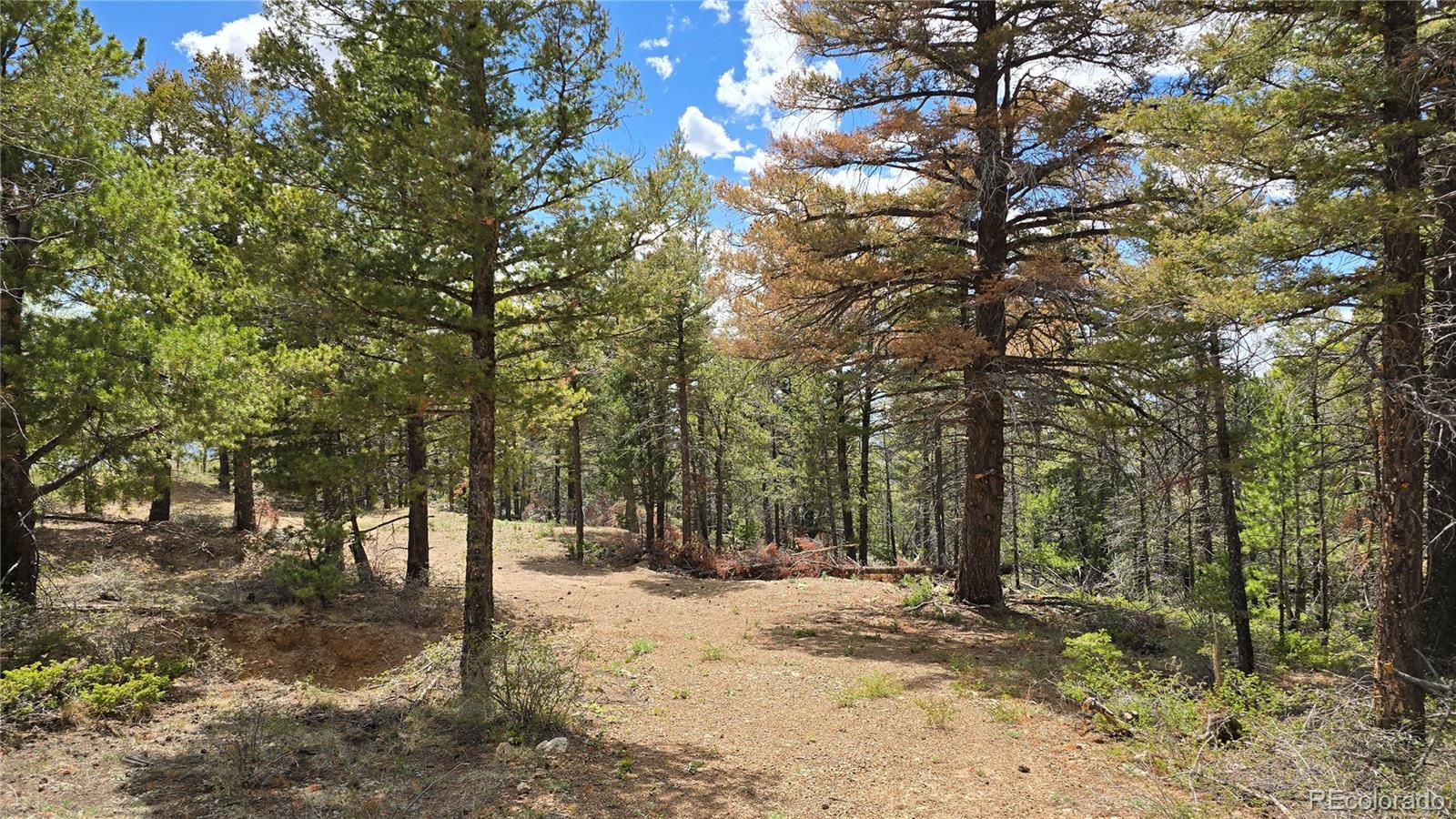 Lot 5825 Covington Road Fort Garland CO 81133