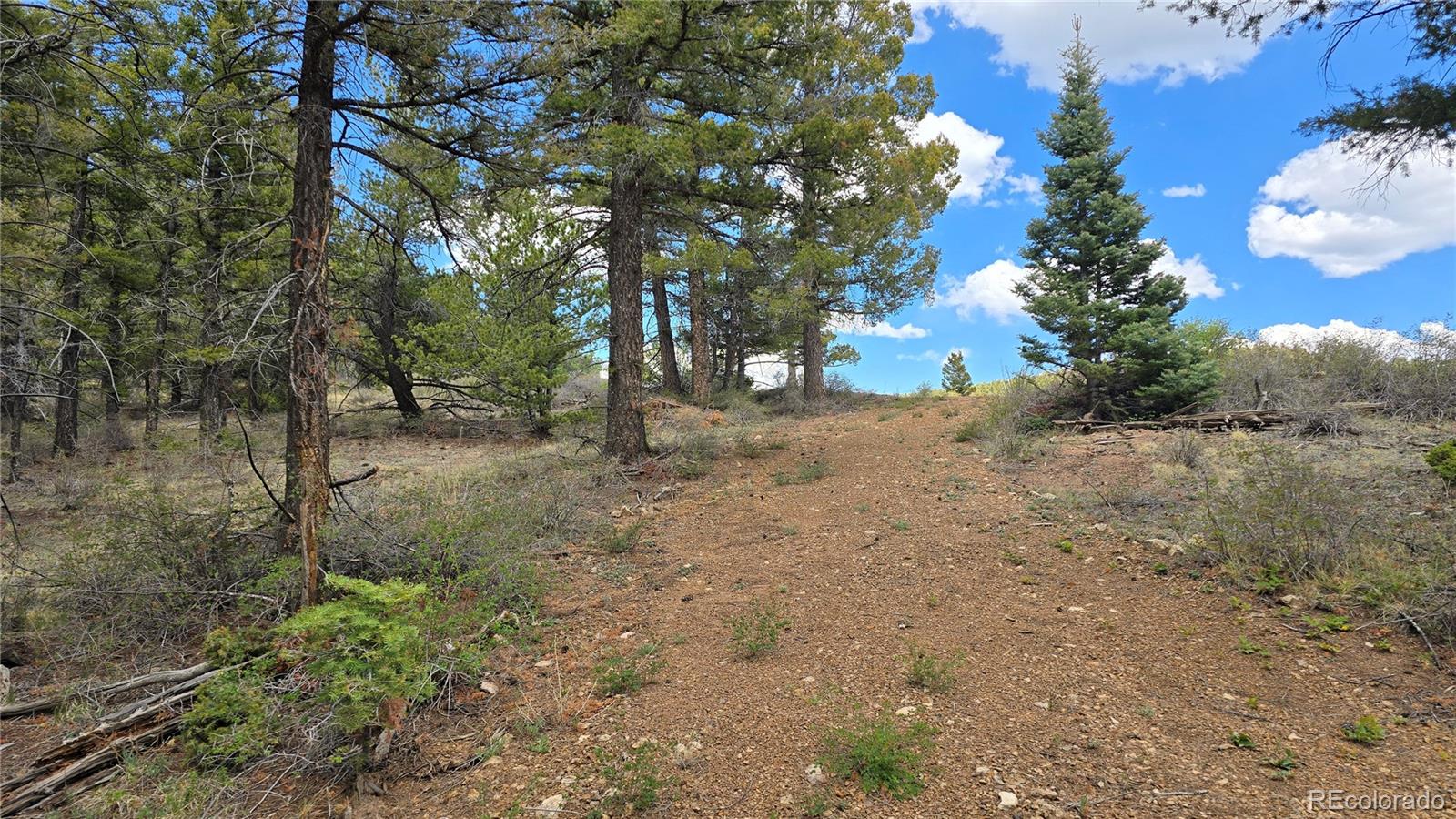 Lot 5825 Covington Road Fort Garland CO 81133