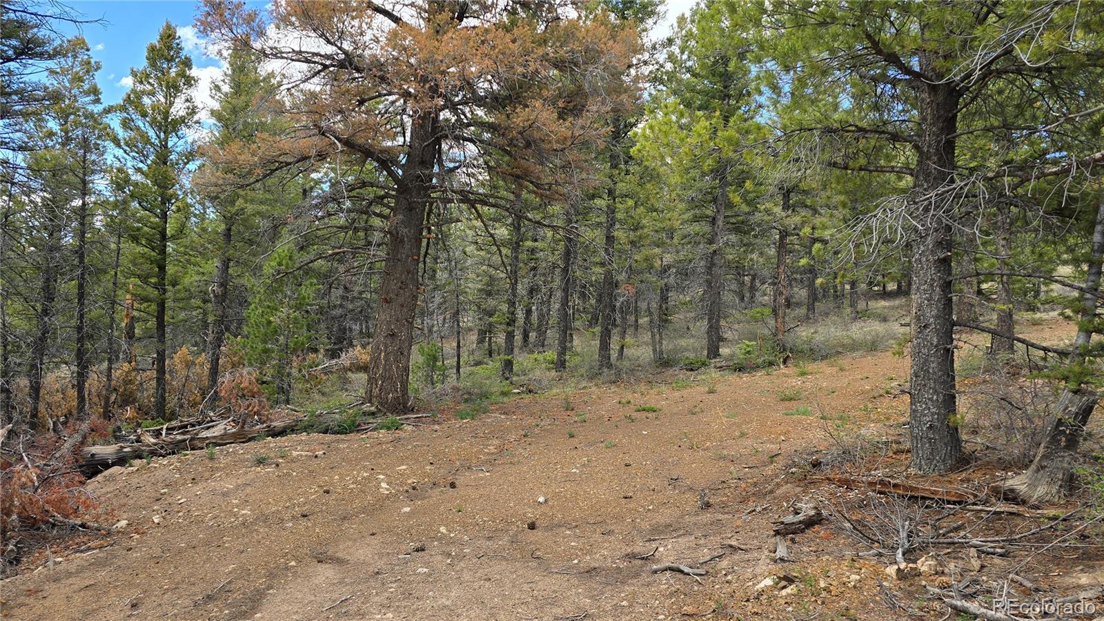 Lot 5825 Covington Road Fort Garland CO 81133