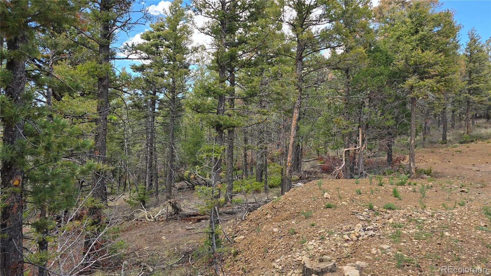 Lot 5825 Covington Road Fort Garland CO 81133