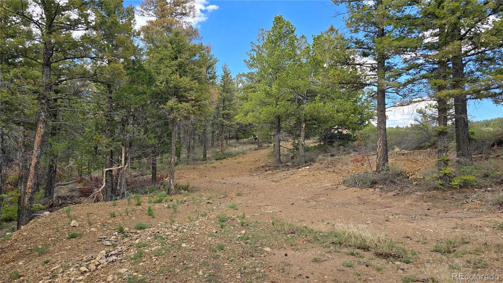 Lot 5825 Covington Road Fort Garland CO 81133