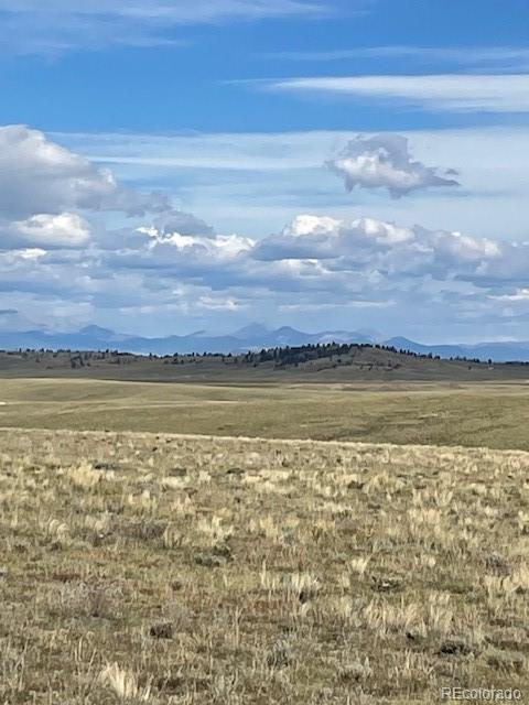 1789 Wahosta Trail Guffey CO 80820