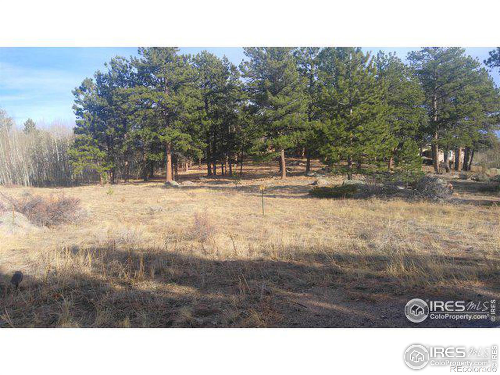 1 Fox Acres Drive W Red Feather Lakes CO 80545