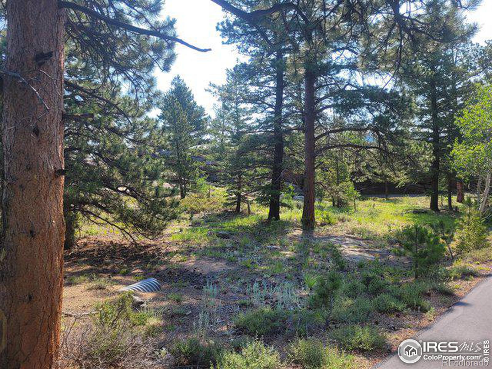 1 Fox Acres Drive W Red Feather Lakes CO 80545