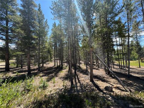 334 Baby Doe Drive Leadville CO 80461