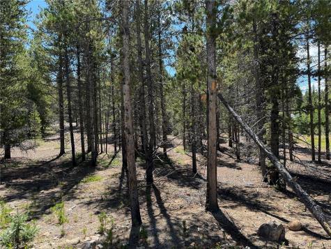 334 Baby Doe Drive Leadville CO 80461