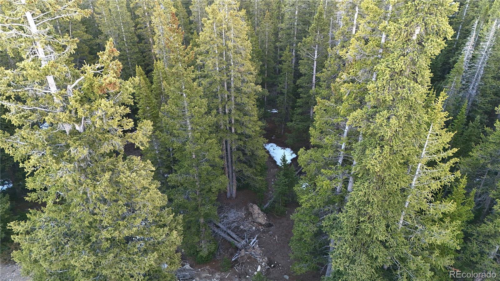 252 Silverheels Place Fairplay CO 80440