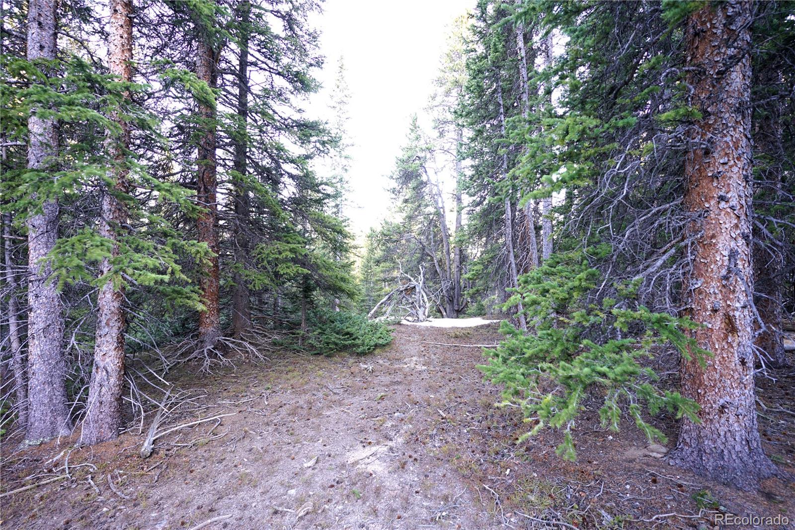 252 Silverheels Place Fairplay CO 80440