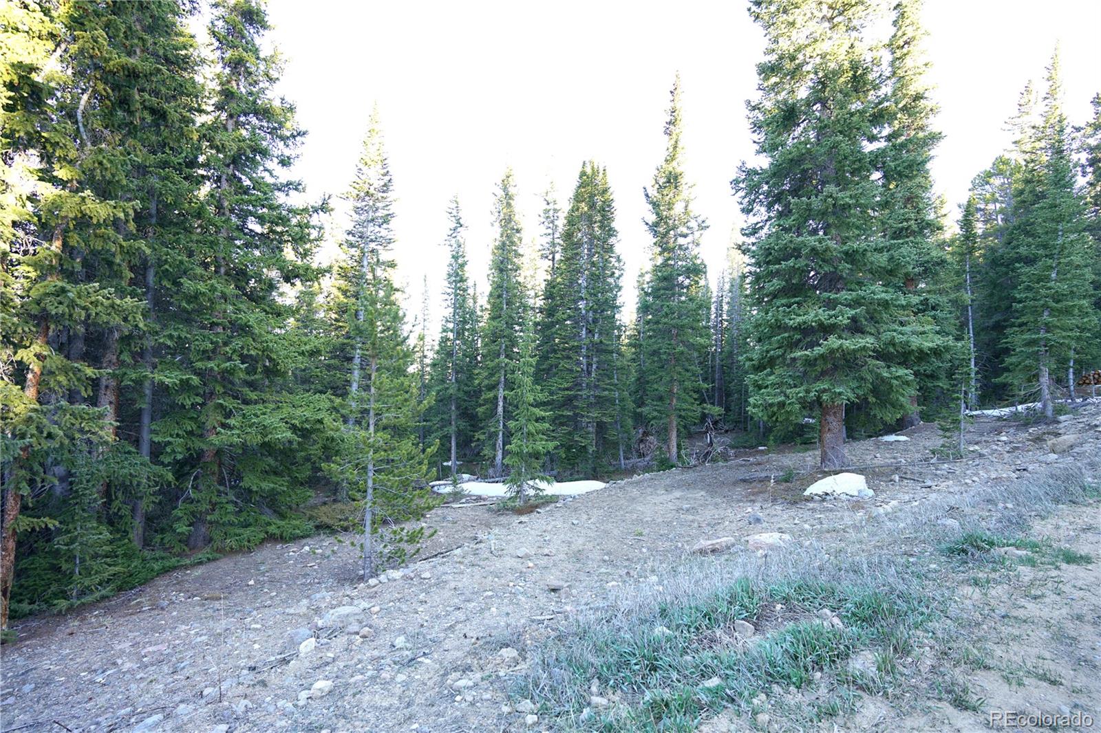 252 Silverheels Place Fairplay CO 80440