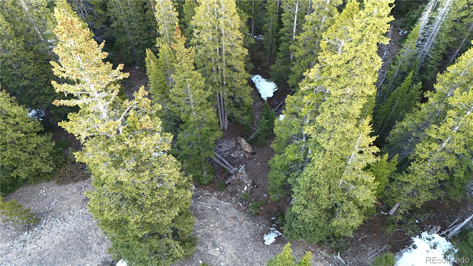 252 Silverheels Place Fairplay CO 80440