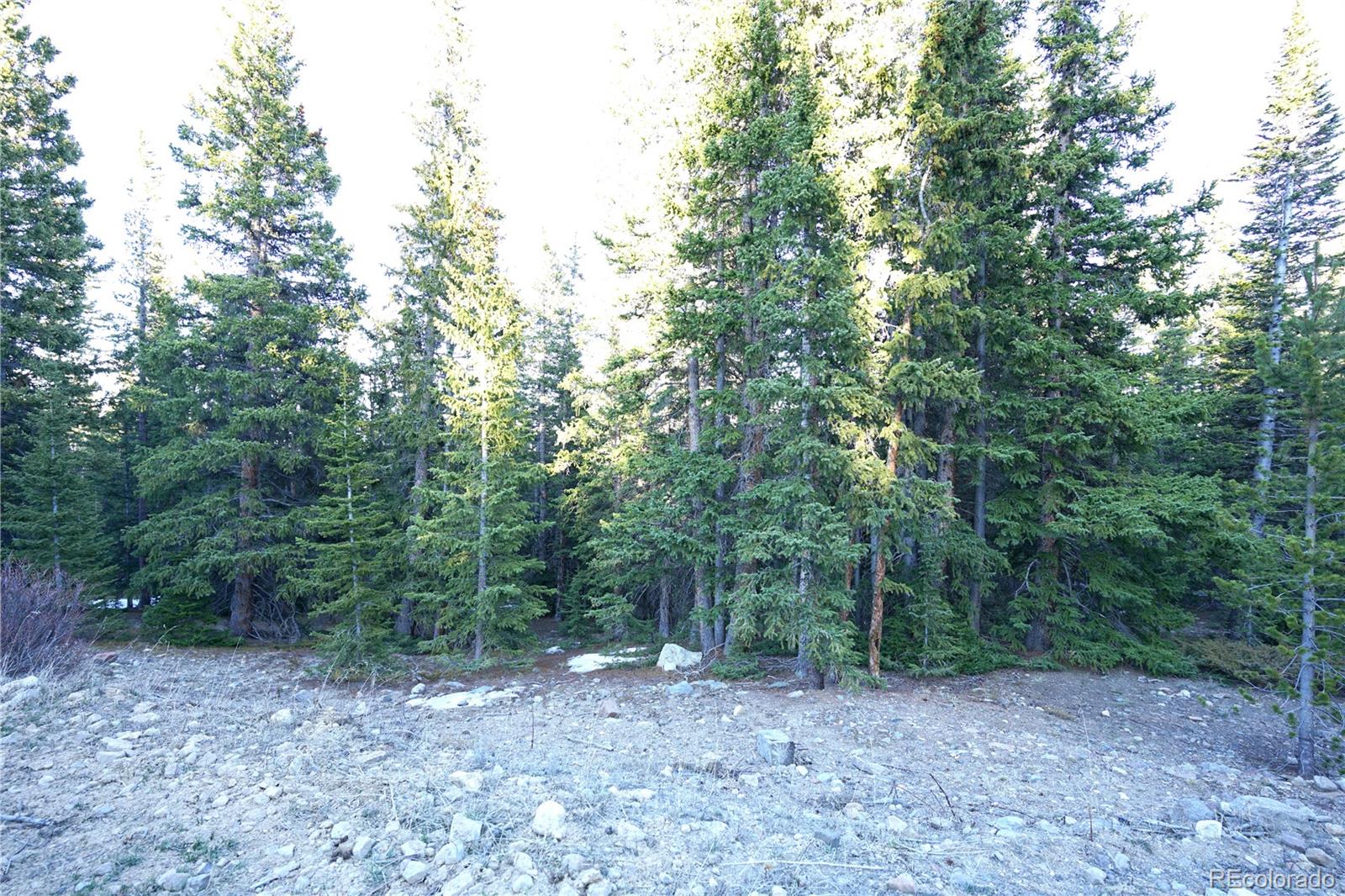 252 Silverheels Place Fairplay CO 80440