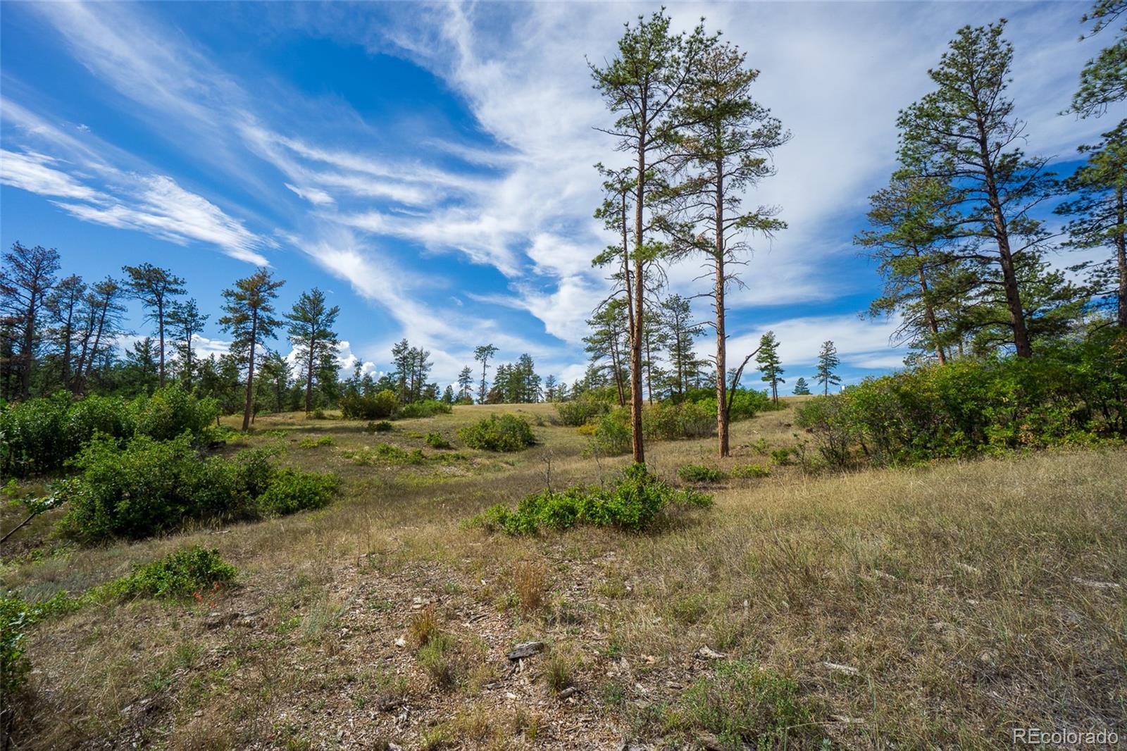 2367 Keep Drive Sedalia CO 80135