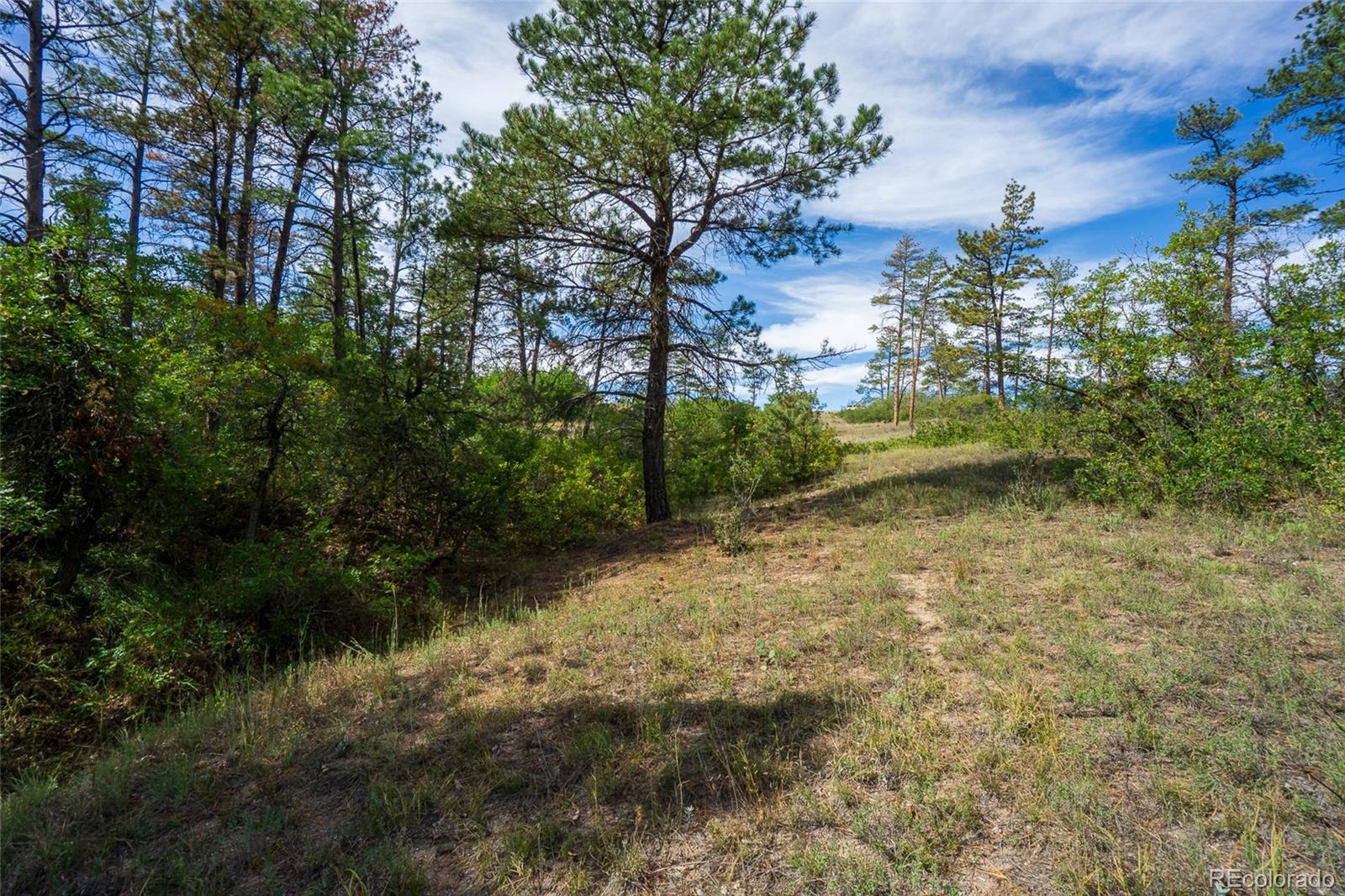 2367 Keep Drive Sedalia CO 80135