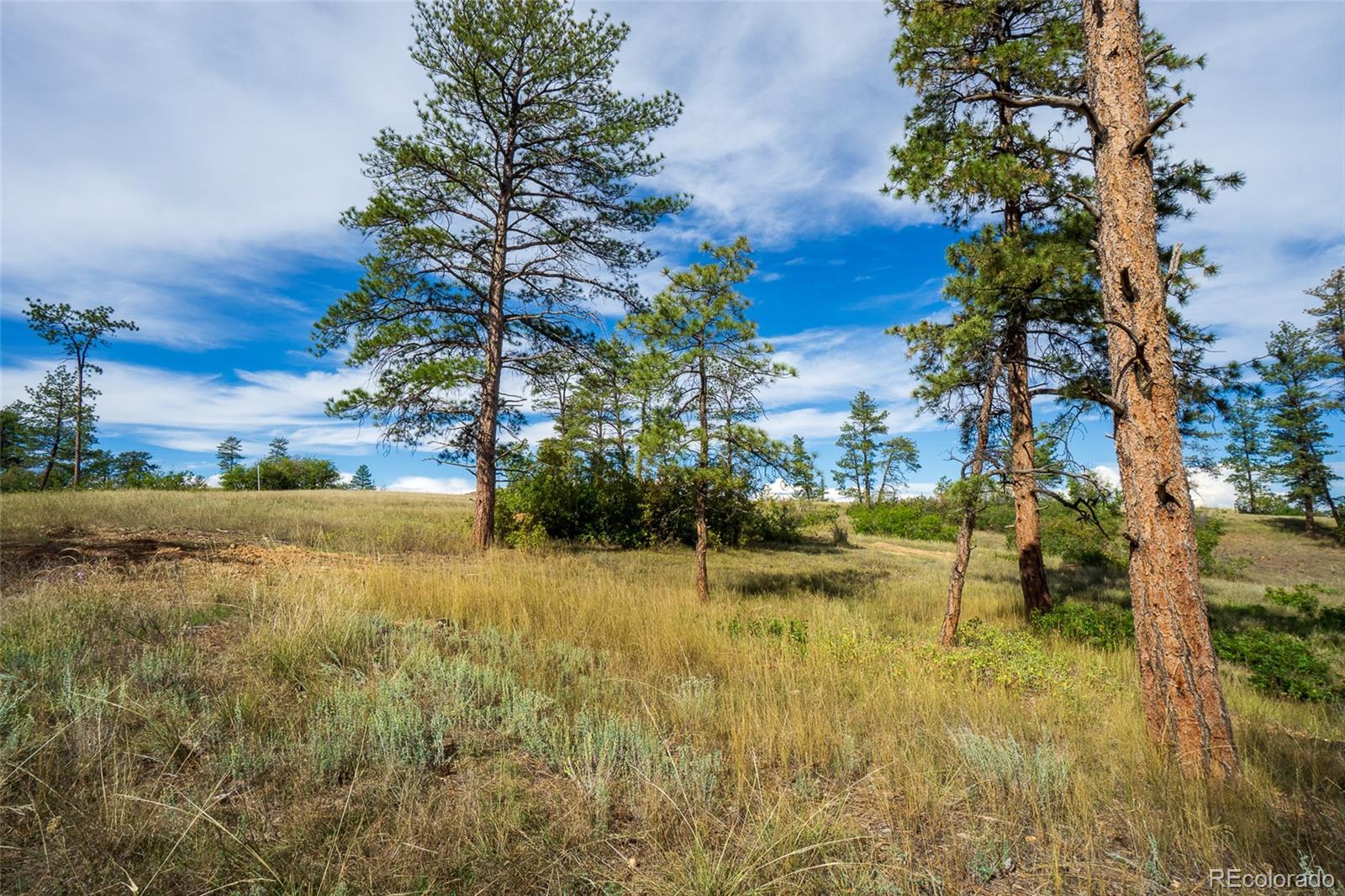 2367 Keep Drive Sedalia CO 80135