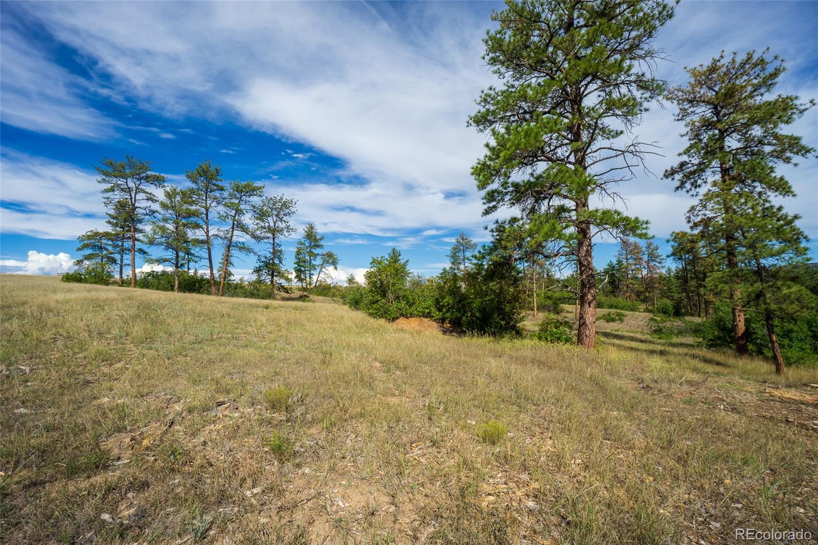 2367 Keep Drive Sedalia CO 80135