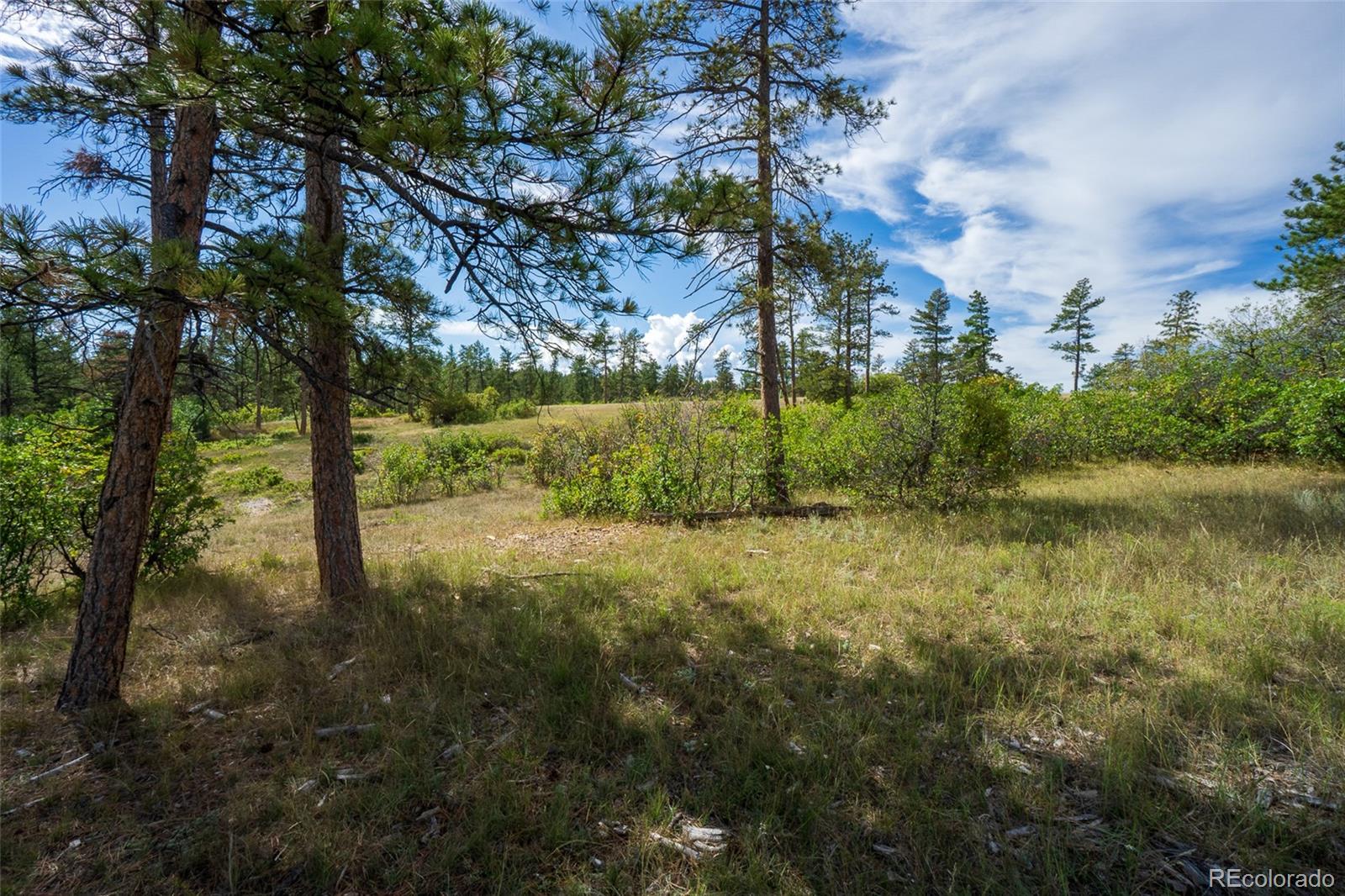 2367 Keep Drive Sedalia CO 80135