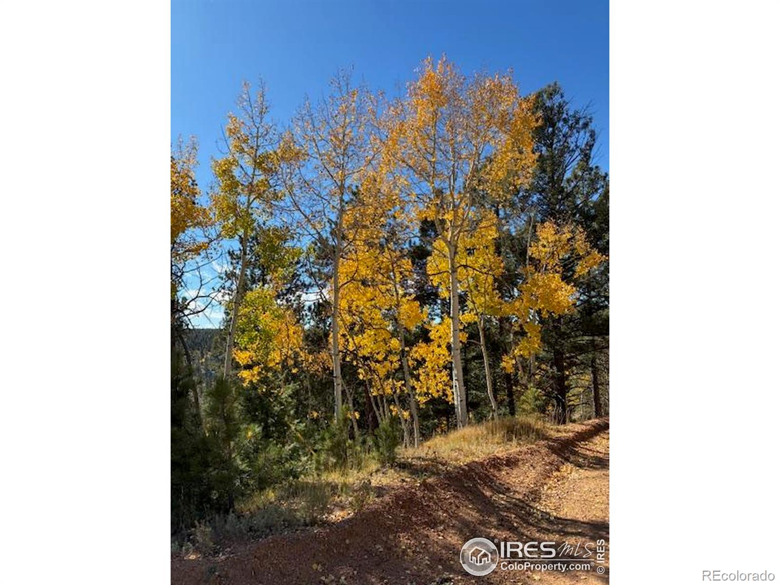 85 Remwood Circle Divide CO 80814