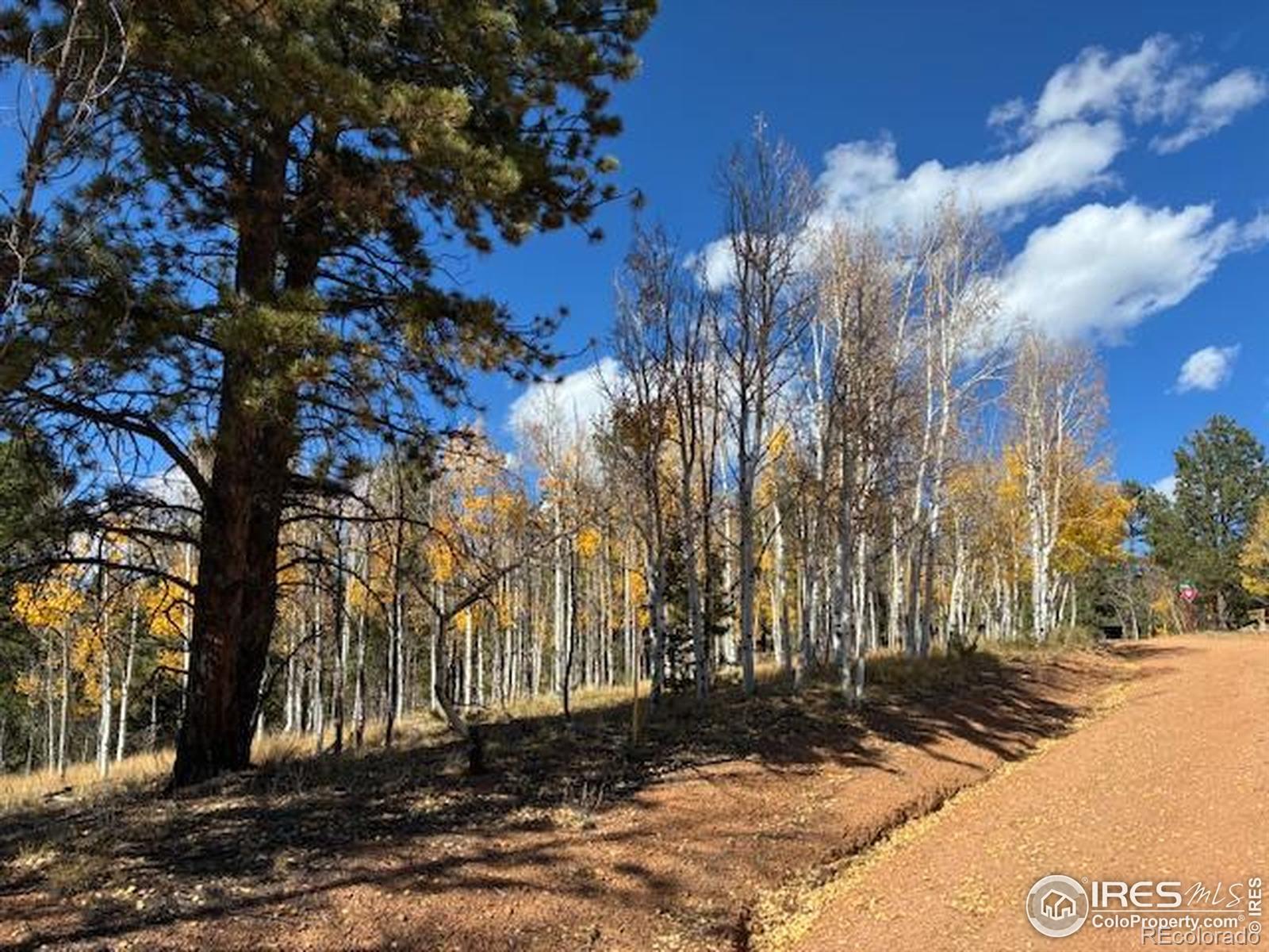 85 Remwood Circle Divide CO 80814