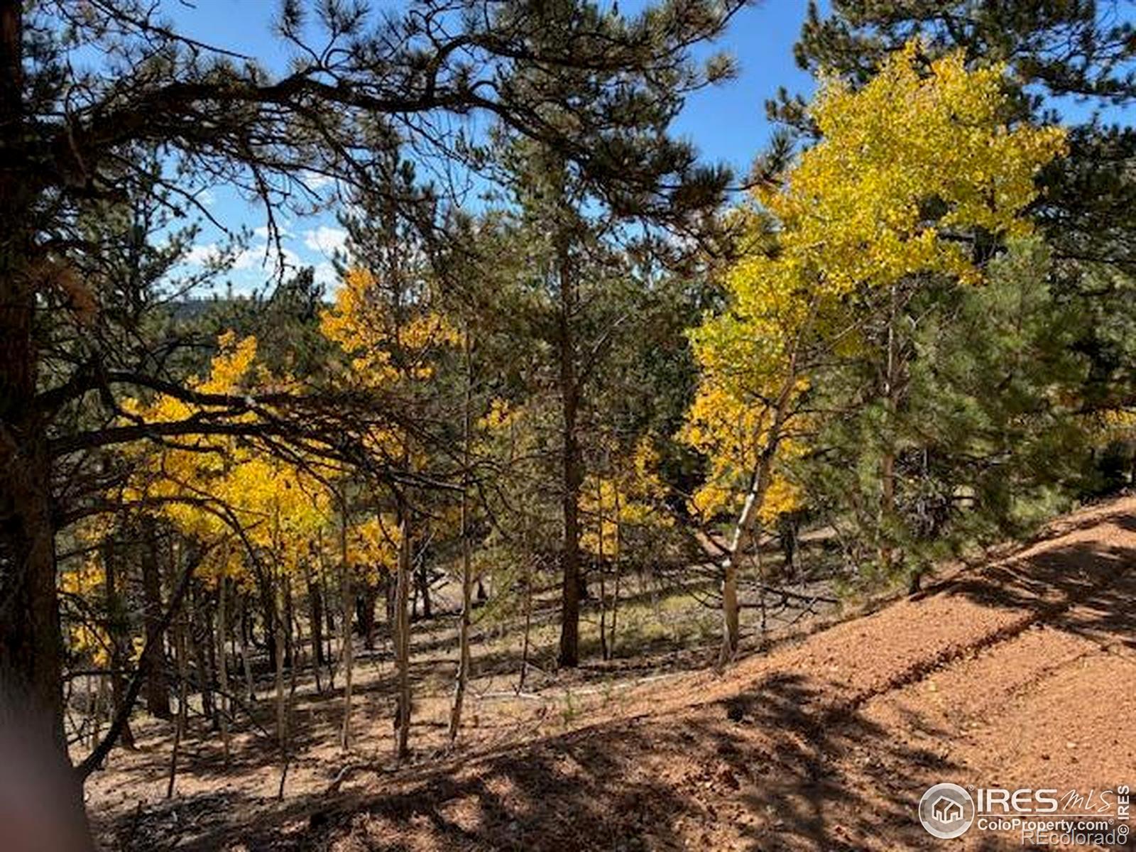 85 Remwood Circle Divide CO 80814