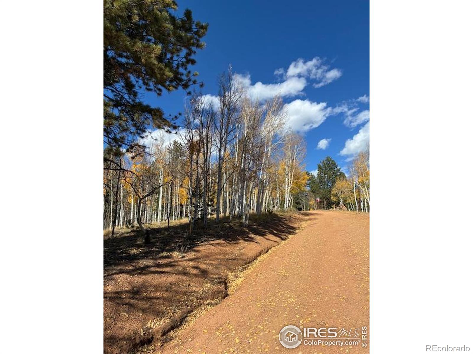 85 Remwood Circle Divide CO 80814