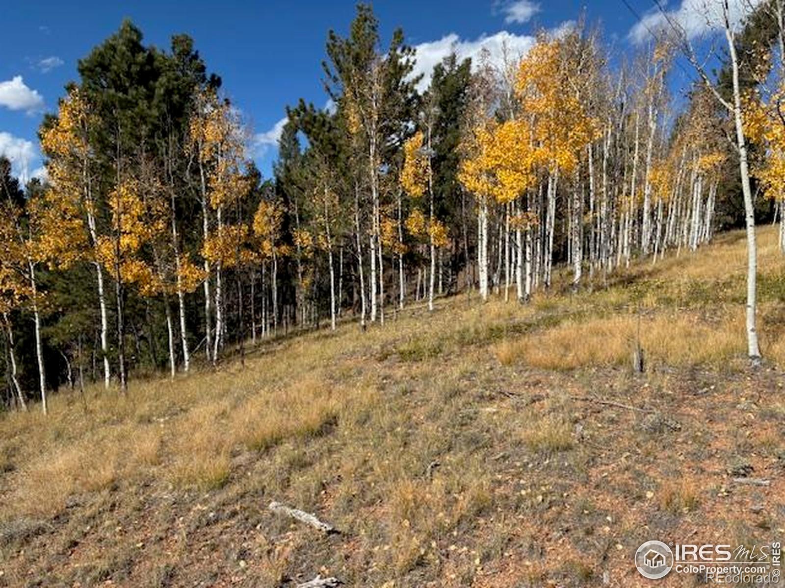 85 Remwood Circle Divide CO 80814