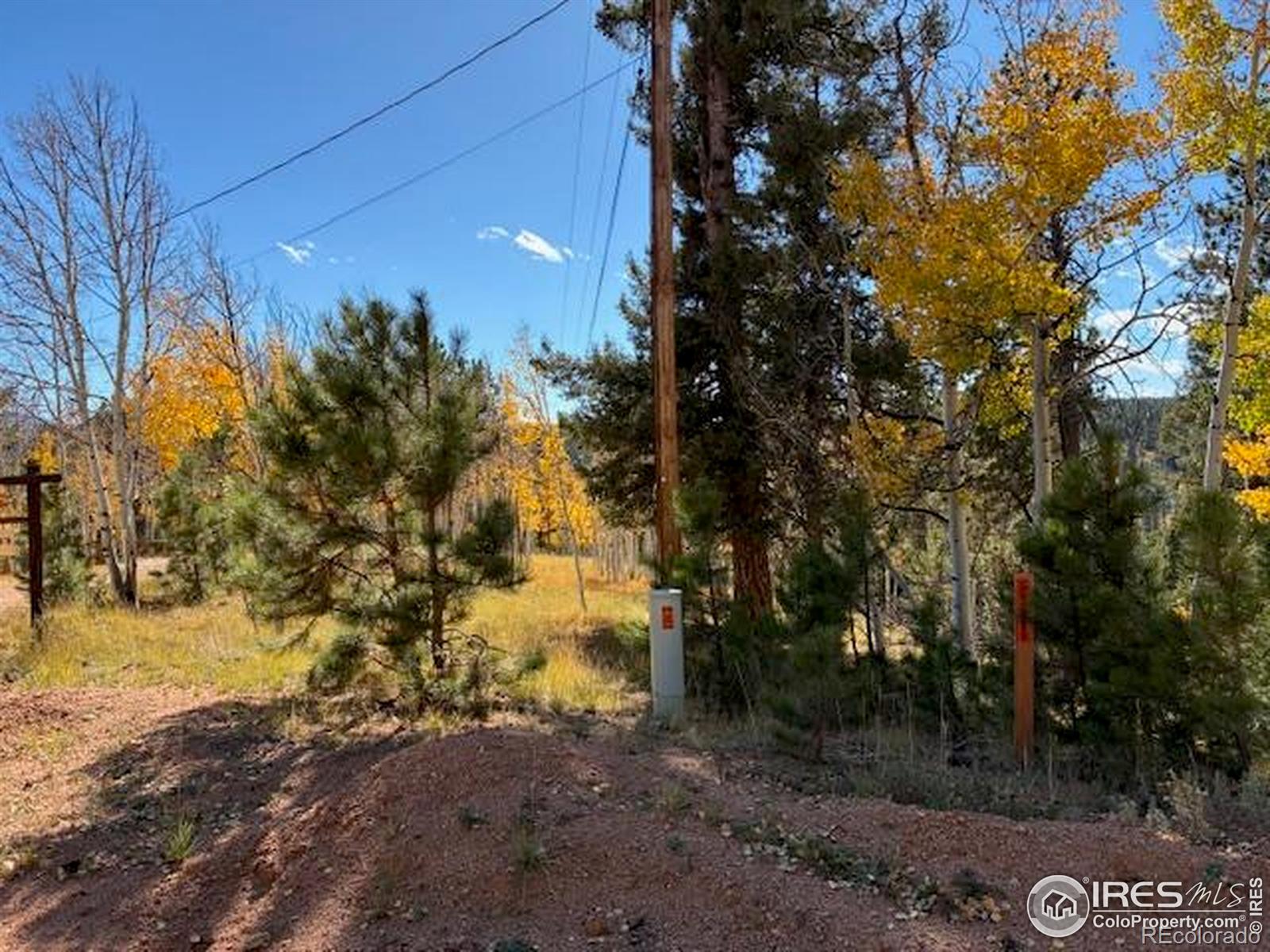 85 Remwood Circle Divide CO 80814