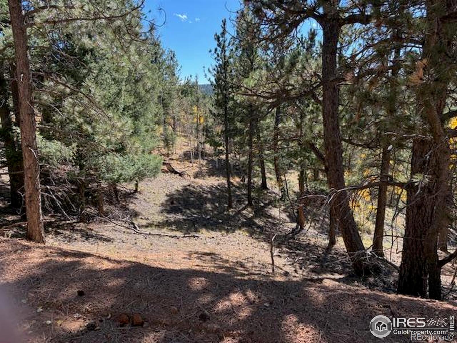 85 Remwood Circle Divide CO 80814