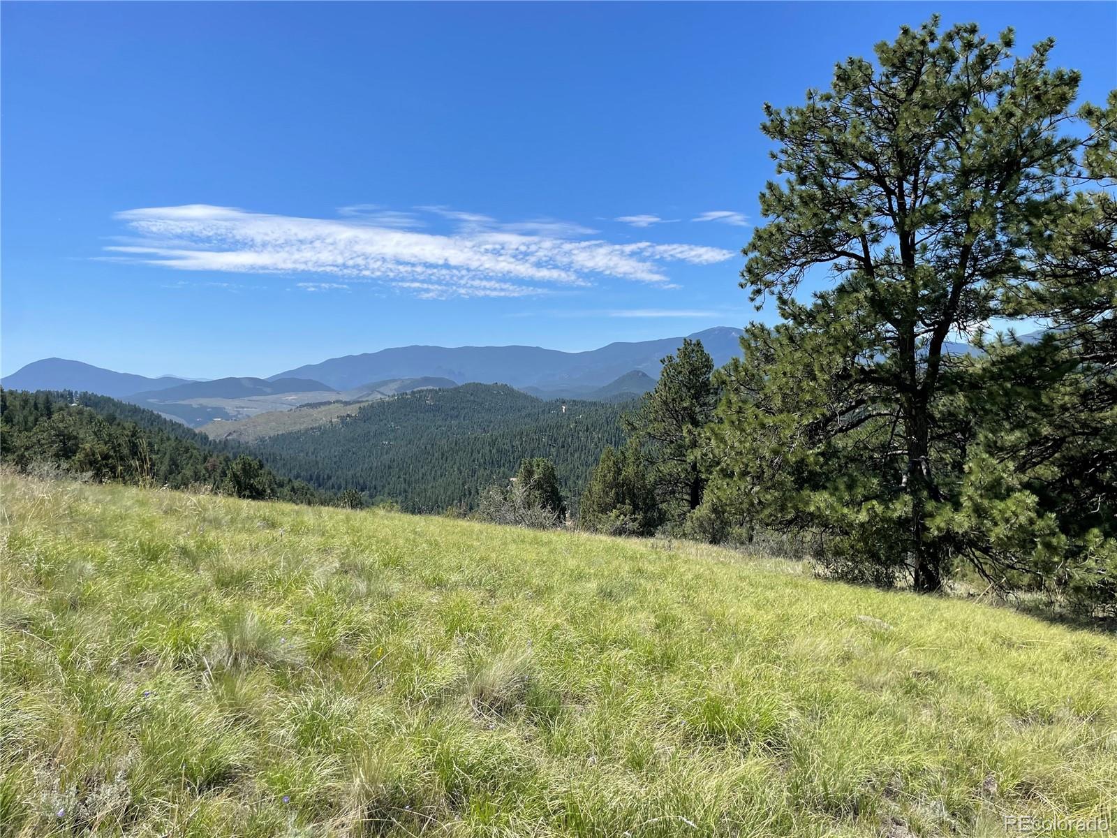 98 Wisp Lane Bailey CO 80421