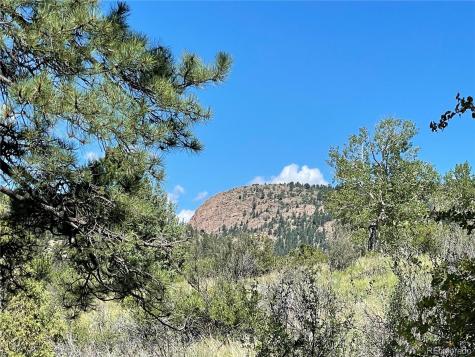 98 Wisp Lane Bailey CO 80421