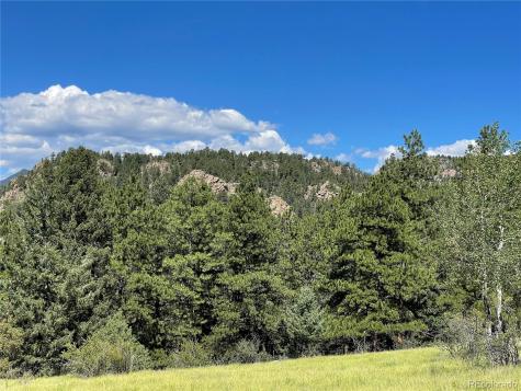 98 Wisp Lane Bailey CO 80421