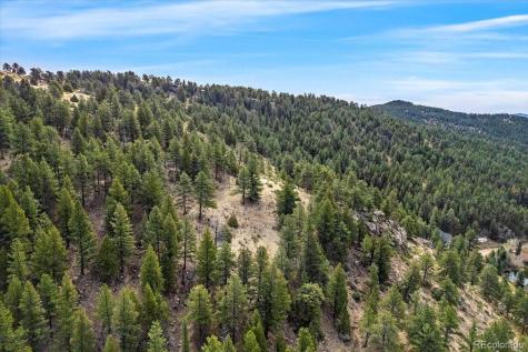 98 Wisp Lane Bailey CO 80421
