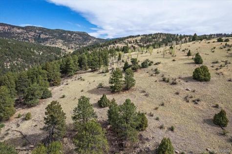 98 Wisp Lane Bailey CO 80421