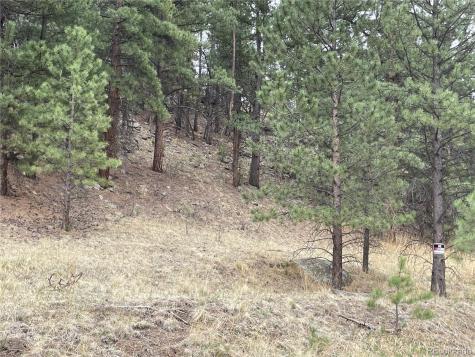 98 Wisp Lane Bailey CO 80421