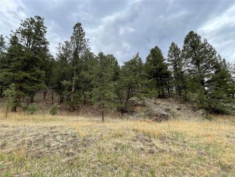 98 Wisp Lane Bailey CO 80421