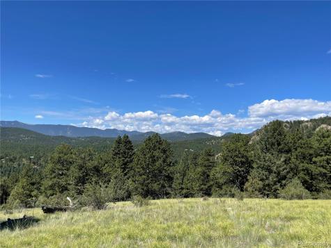 98 Wisp Lane Bailey CO 80421