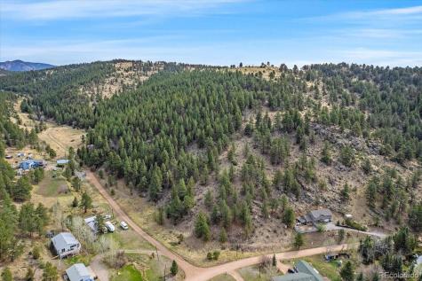 98 Wisp Lane Bailey CO 80421