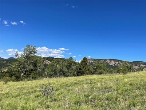 98 Wisp Lane Bailey CO 80421