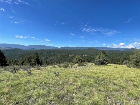 98 Wisp Lane Bailey CO 80421