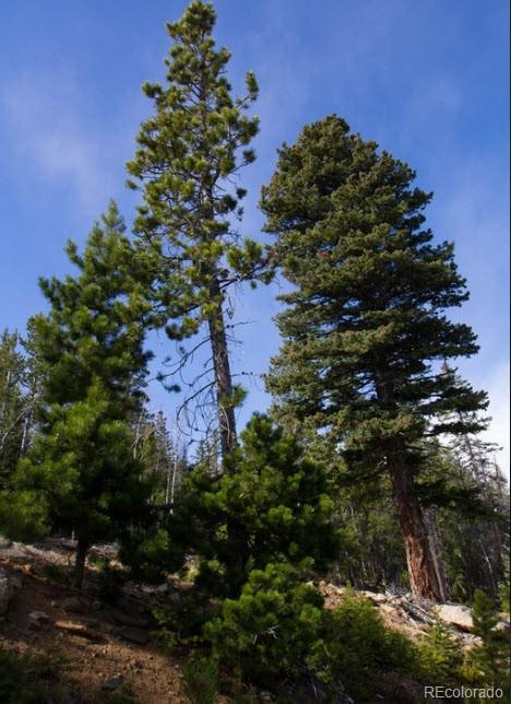 111 Collateral Claim Idaho Springs CO 80452