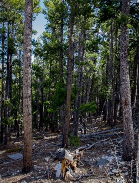 111 Collateral Claim Idaho Springs CO 80452