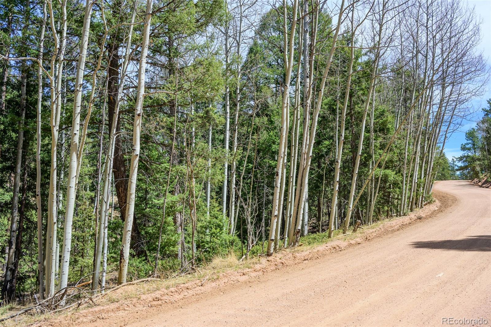 2763 N Mountain Estates Road Florissant CO 80816